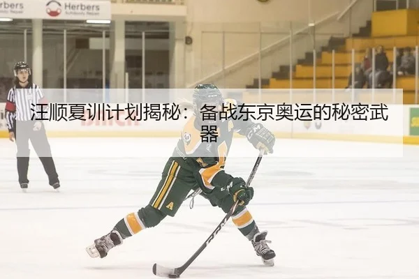 汪顺夏训计划揭秘：备战东京奥运的秘密武器